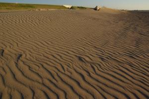 砂浜にできた風紋の画像